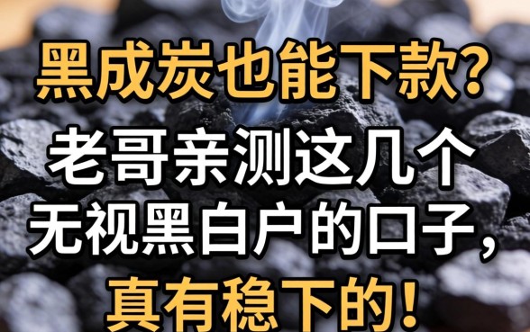 征信黑成炭也能下款？老哥亲测这几个无视黑白户的口子，真有稳下的！