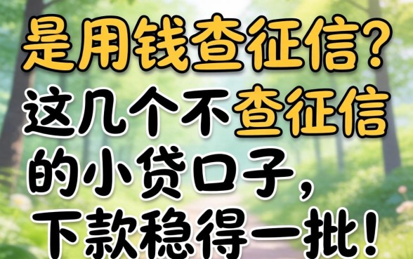急用钱查征信？这几个不查征信的小贷口子，下款稳得一批！