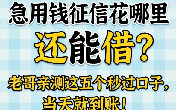 急用钱征信花哪里还能借？老哥亲测这五个秒过口子，当天就到账！