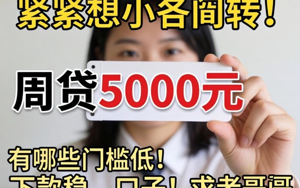 手头紧想贷5000元周转，有哪些门槛低、下款稳的口子？求老哥们推荐！