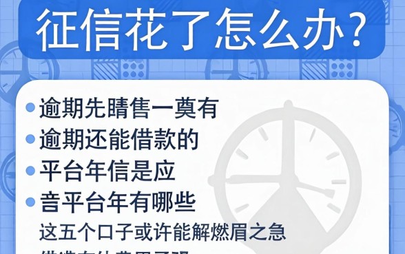 征信花了怎么办?逾期还能借款的平台2026年有哪些?这五个口子或许能解燃眉之急