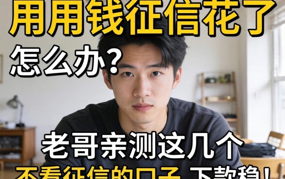 急用钱征信花了怎么办？老哥亲测这几个不看征信的口子，下款稳！