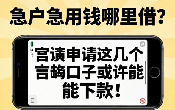 黑户急用钱哪里借？手机申请这几个口子或许能下款！