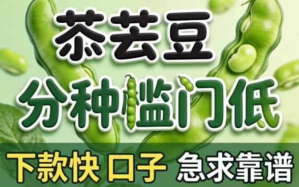 有没有类似芸豆分那种门槛低、下款快的口子？急求靠谱推荐！