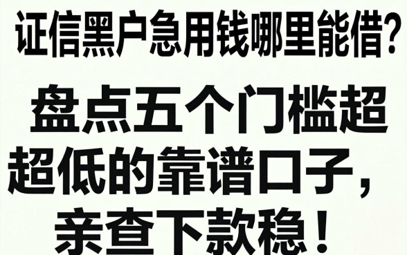 征信黑户急用钱哪里能借?盘点五个门槛超低的靠谱口子,亲测下款稳!