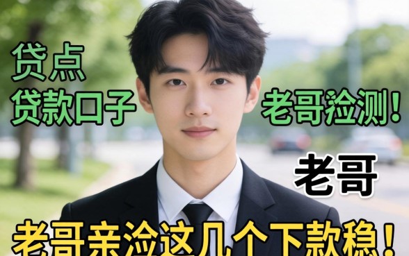 有没有好点的贷款口子?老哥亲测这几个下款稳!