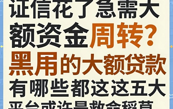 征信花了急需大额资金周转？2026黑户的大额贷款有哪些，这五大平台或许是救命稻草