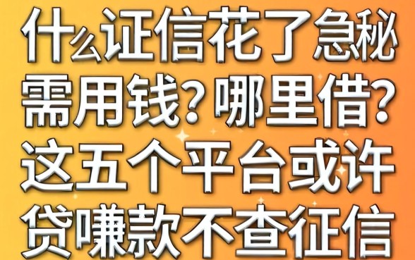 征信花了急需用钱哪里借？揭秘什么软件贷款不查征信记录，这五个平台或许是救命稻草