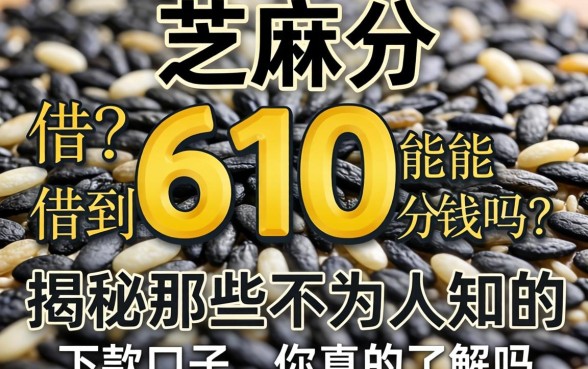 芝麻分610分能借到钱吗？揭秘那些不为人知的下款口子，你真的了解吗？