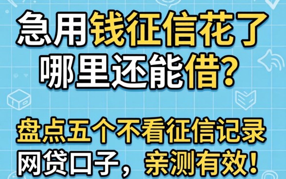 急用钱征信花了哪里还能借？盘点五个不看征信记录的网贷口子，亲测有效！