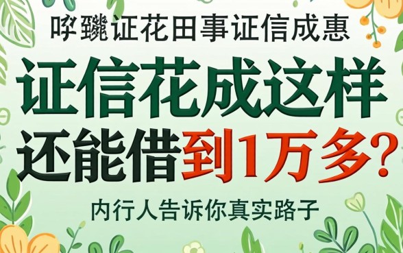 征信花成这样还能借到1万多?内行人告诉你真实路子