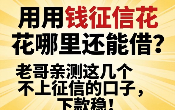 急用钱征信花哪里还能借？老哥亲测这几个不上征信的口子，下款稳！