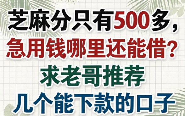 芝麻分只有500多，急用钱哪里还能借？求老哥推荐几个能下款的口子！