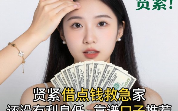 手头紧想借点钱救急，大家有没有利息低、靠谱的口子推荐？