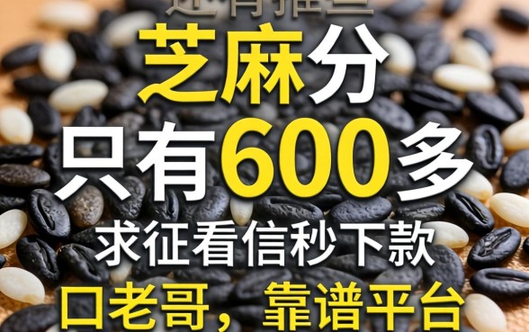 芝麻分只有600多，还有哪些不看征信秒下款的口子？求老哥推荐靠谱平台！