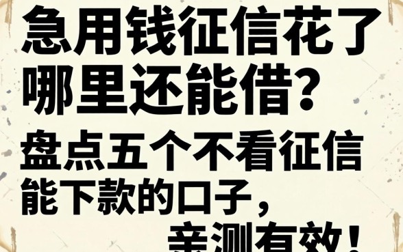 急用钱征信花了哪里还能借？盘点五个不看征信能下款的口子，亲测有效！