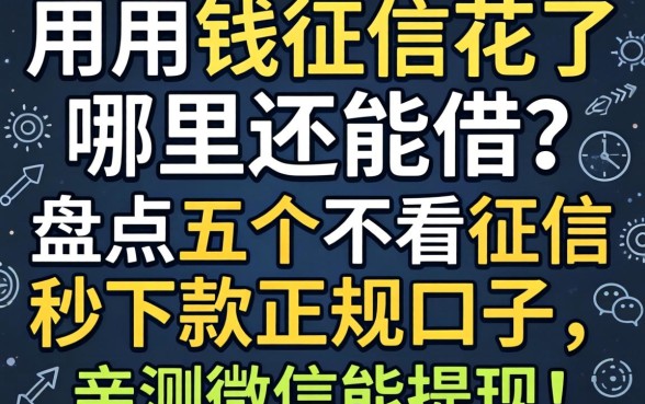 急用钱征信花了哪里还能借?盘点五个不看征信秒下款的正规口子,亲测微信能提现!