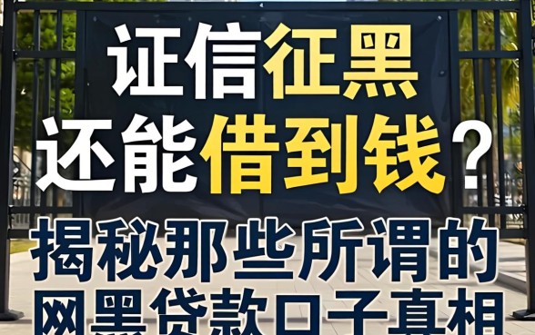 征信黑还能借到钱？揭秘那些所谓的网黑贷款口子真相