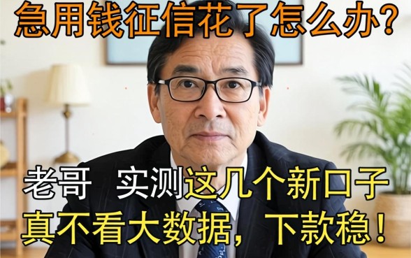 急用钱征信花了怎么办？老哥实测2026这几个新口子真不看大数据，下款稳！