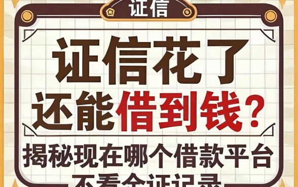 征信花了还能借到钱吗?揭秘现在哪个借款平台不看征信记录