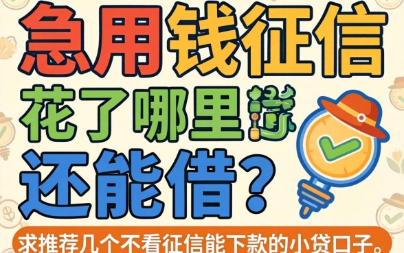 急用钱征信花了哪里还能借?求推荐几个不看征信能下款的小贷口子!