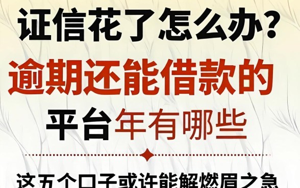 征信花了怎么办?逾期还能借款的平台2026年有哪些?这五个口子或许能解燃眉之急