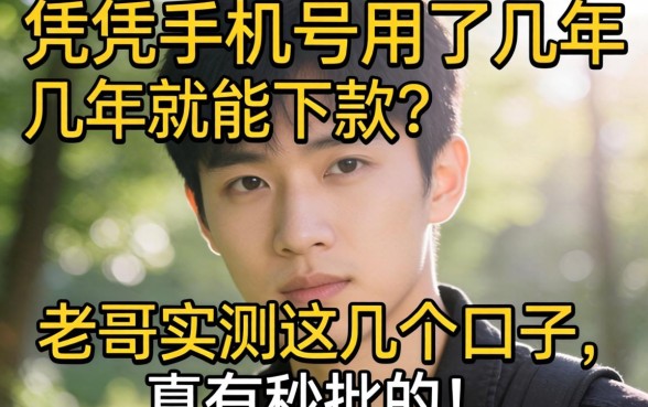 听说光凭手机号用了几年就能下款?老哥实测这几个口子,真有秒批的!