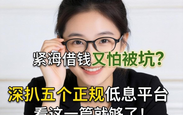 手头紧想借钱又怕被坑？深扒五个正规低息平台，看这一篇就够了！