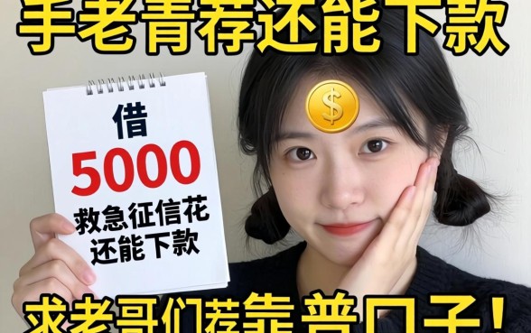 手头紧想借5000救急，征信花还能下款吗？求老哥们推荐靠谱口子！