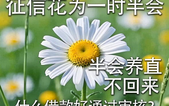 征信花了一时半会养不回来,什么借款好通过审核?