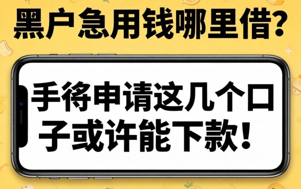 黑户急用钱哪里借？手机申请这几个口子或许能下款！