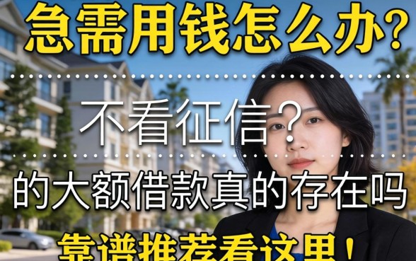 征信黑了急需用钱怎么办？不看征信的大额借款真的存在吗？靠谱推荐看这里！