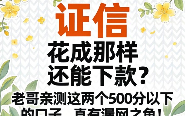 征信花成那样还能下款？老哥亲测这几个500分以下的口子，真有漏网之鱼！