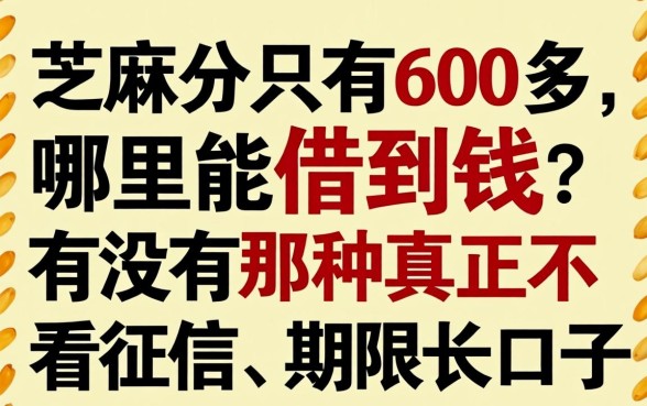 芝麻分只有600多，哪里能借到钱？有没有那种真正不看征信、期限长的口子？