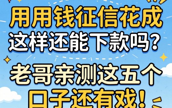 急用钱征信花成这样还能下款吗？老哥亲测这五个口子还有戏！