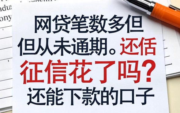 网贷笔数多但从未逾期,征信花了吗?还能下款的口子有哪些?
