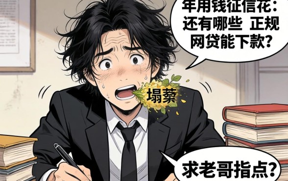 急用钱征信花了一塌糊涂，2026年还有哪些正规网贷能下款？求老哥指点！