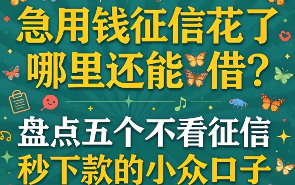 急用钱征信花了哪里还能借？盘点五个不看征信秒下款的小众口子