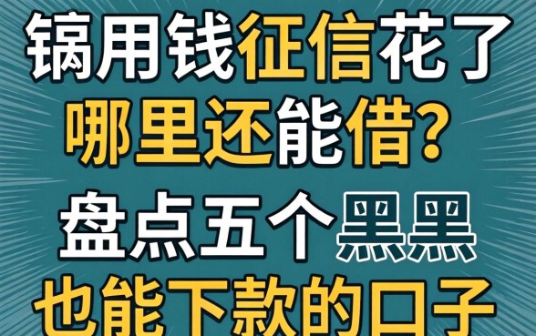 急用钱征信花了哪里还能借？盘点五个黑户也能下款的口子_1