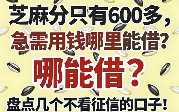 芝麻分只有600多，急需用钱哪里能借？盘点几个不看征信的口子！
