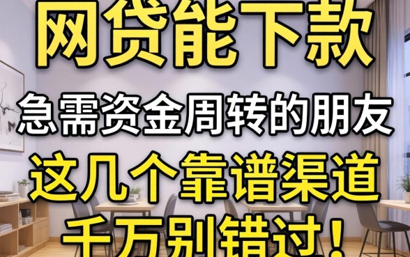 2026年哪个网贷能下款？急需资金周转的朋友，这几个靠谱渠道千万别错过！