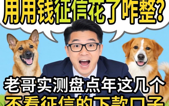 急用钱征信花了咋整？老哥实测盘点2026年这几个不看征信的下款口子