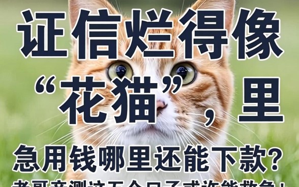 征信烂得像“花猫”,急用钱哪里还能下款?老哥亲测这五个口子或许能救急!