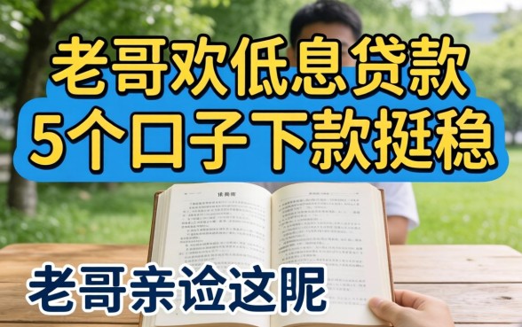 哪里能借到低息贷款呢？老哥亲测这5个口子下款挺稳