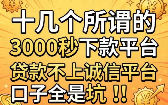我试了十几个所谓的3000秒下款平台，发现贷款不上诚信平台的口子全是坑