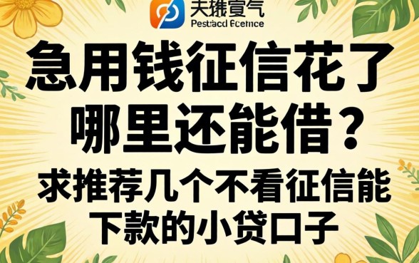 急用钱征信花了哪里还能借?求推荐几个不看征信能下款的小贷口子!