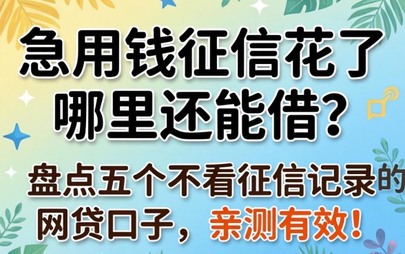 急用钱征信花了哪里还能借？盘点五个不看征信记录的网贷口子，亲测有效！