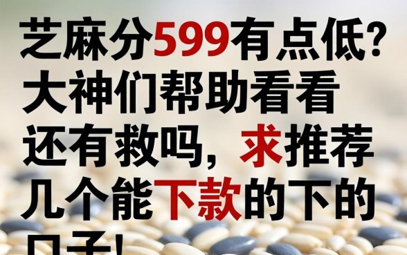 芝麻分599有点低?大神们帮忙看看还有救吗,求推荐几个能下款的口子!