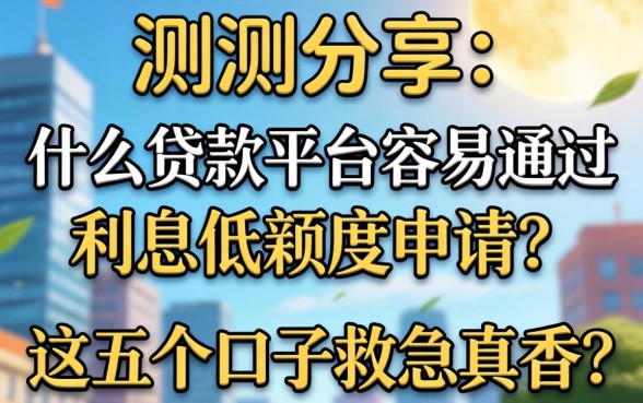 实测分享：什么贷款平台容易通过利息低额度申请？这五个口子救急真香