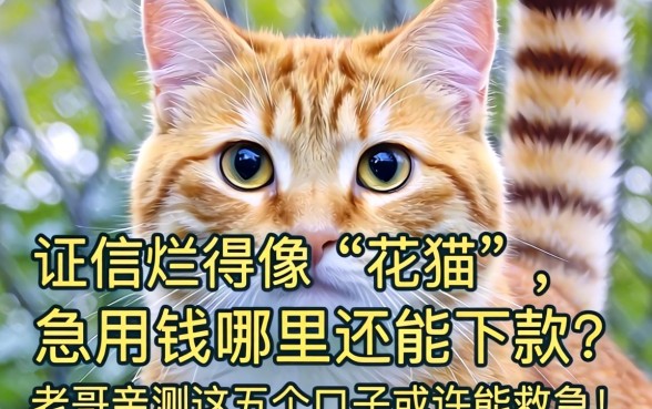 征信烂得像“花猫”,急用钱哪里还能下款?老哥亲测这五个口子或许能救急!